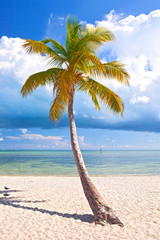 Summer at a tropical paradise in Florida Keys, USA