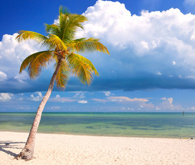 Summer at a tropical paradise in Florida Keys, USA