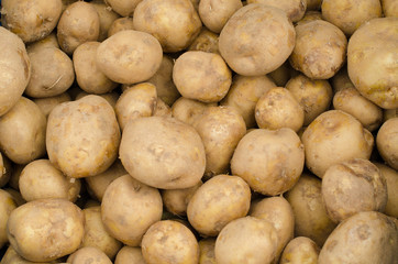 Fresh Potatoes