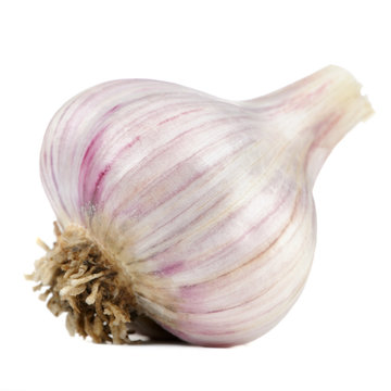 Garlic Head Isolated on White Background