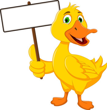 funny duck cartoon with white board