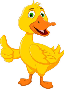 funny duck cartoon thumb up for you design