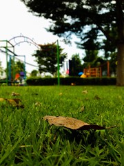 Greenfield in playground