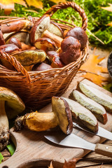 Noble wild mushrooms straight from the pan