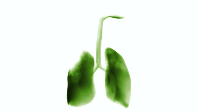 Green poisoned smoke lungs. Loopable