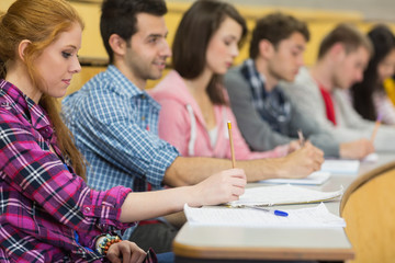 Students writing notes in a row at lecture hall