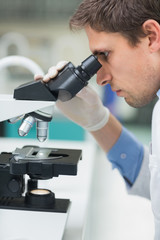 Scientific researcher using microscope in the laboratory