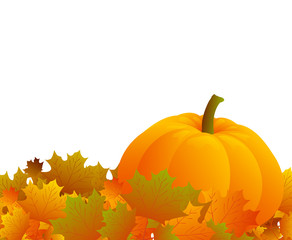Autumn background with leaves and pumpkin