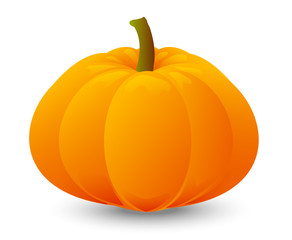Bright orange pumpkin on white