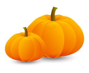 Bright orange pumpkins on white