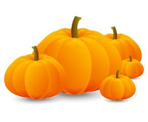 Bright orange pumpkins on white