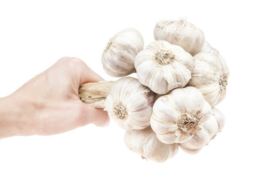 Isolated garlic bunch on white background