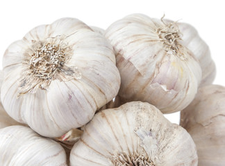 Isolated garlic bunch on white background