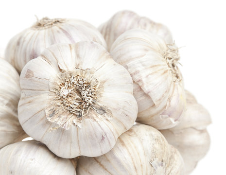 Isolated garlic bunch on white background