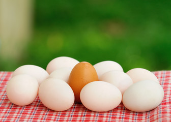Eggs