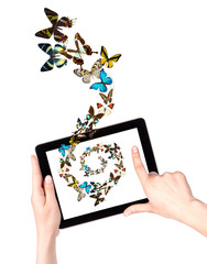 butterfly flying out from tablet computer