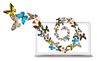butterfly flying out from computer