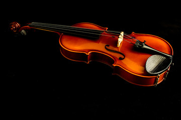 Il violino