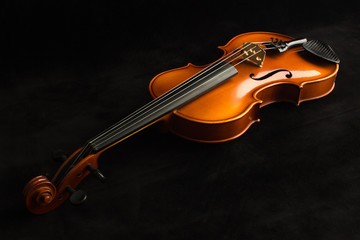 Fototapeta premium Violino