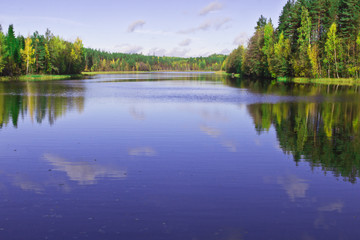 Fototapeta na wymiar forest Lake