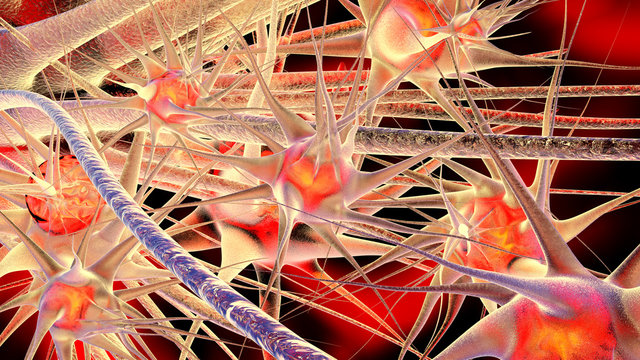 Neuronales Netzwerk