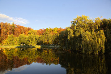 Park in the autumn time