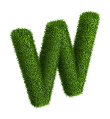 Natural grass letter W