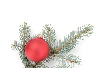 Fototapeta na wymiar blue spruce twig with christmas ball