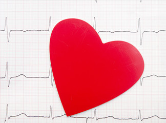 Heart and electrocardiogram