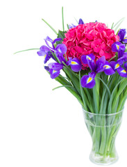 hortensia and iris flowers in vase