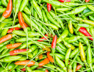 Chilli