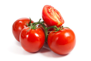 Closeup of tomatoes on the vine isolated on white. Tomato branch
