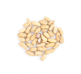 Peanut