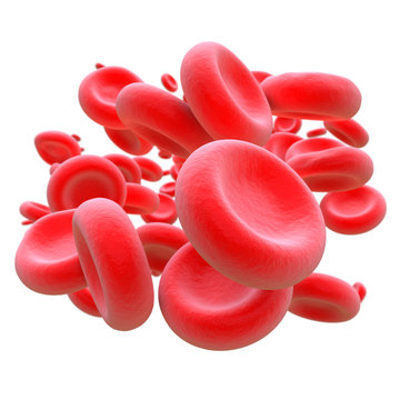 Rote Blutkörperchen isoliert