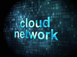 Fototapeta premium Cloud networking concept: Cloud Network on digital background