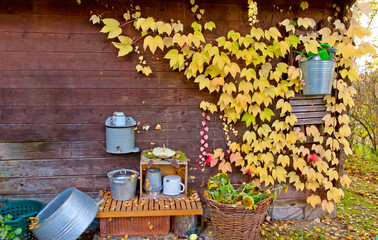 Herbst im Gartengrundstück