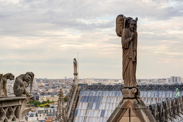 Statues on Cathedral of Notre Dame de Paris roof, France. Skyline of city.