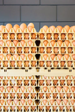 Crates with fresh eggs in front of a grey wall
