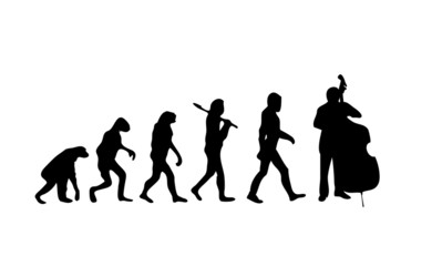 Evolution Contrabass