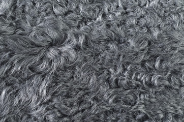fur texture