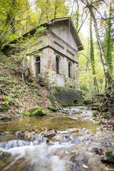old house with creek in forest
