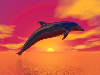 Freedom of the dolphin - 3D render