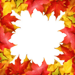 Maple leaves border with space for text. Colored autumn leafs
