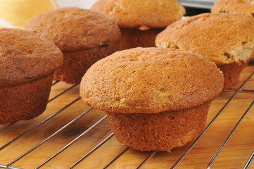 Banana muffins