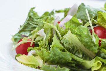 fresh vegetable salad