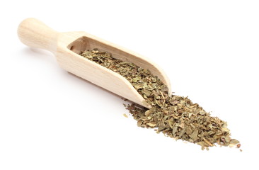 Heap of Fresh basil on wooden spoon. White background
