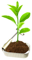 concept environnement à conserver