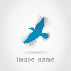 Birds5