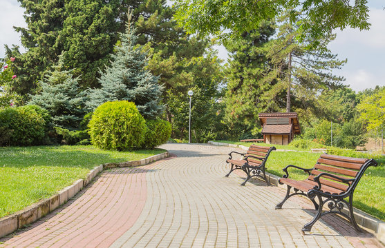 Fototapeta park, path, bench