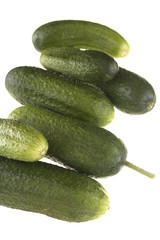.pickles on a white background